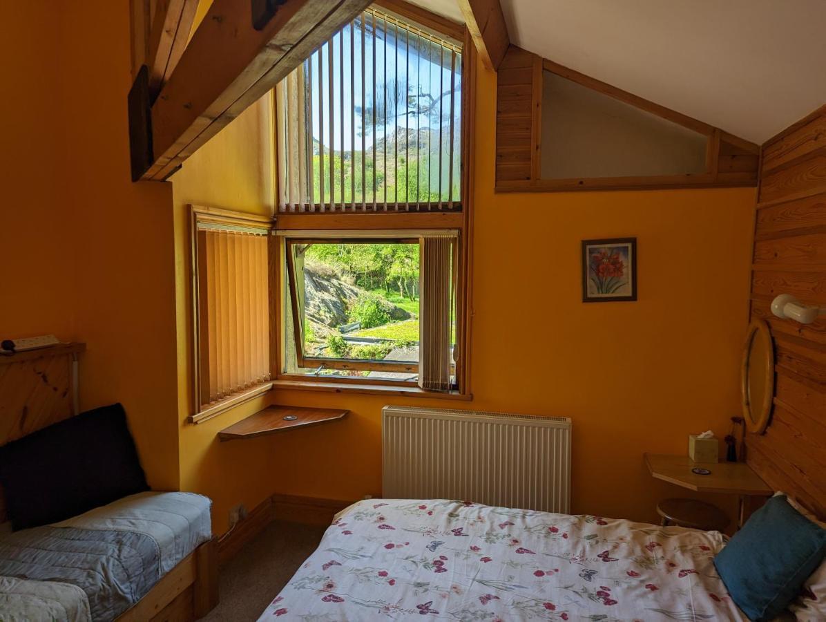 ブライナイ・フェスティニオグ Bryn Elltyd Eco Houseゲストハウス エクステリア 写真