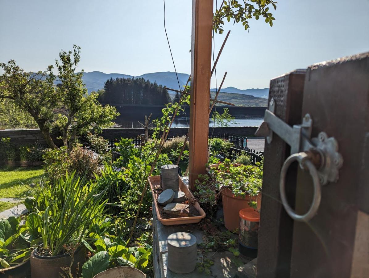 ブライナイ・フェスティニオグ Bryn Elltyd Eco Houseゲストハウス エクステリア 写真