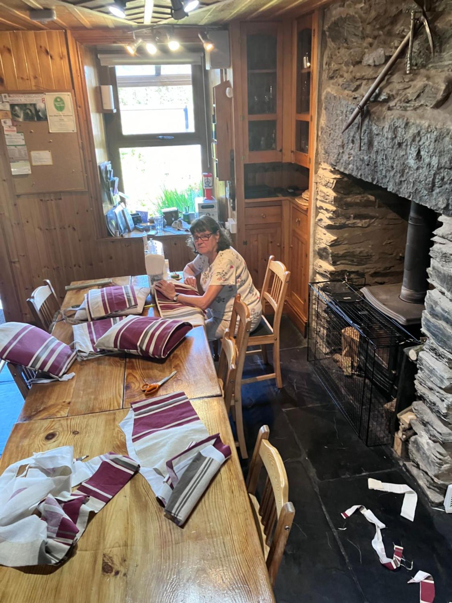 ブライナイ・フェスティニオグ Bryn Elltyd Eco Houseゲストハウス エクステリア 写真