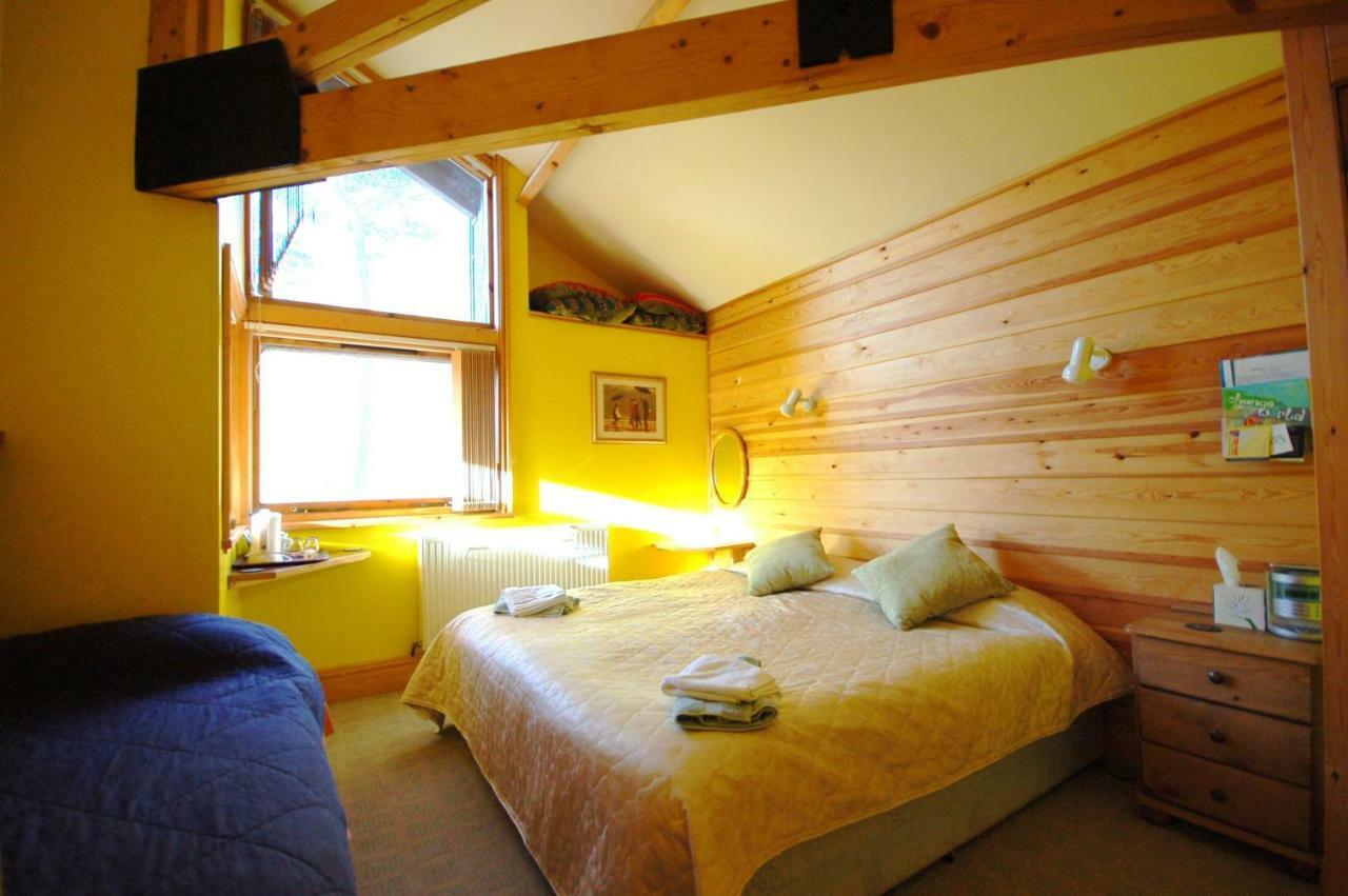 ブライナイ・フェスティニオグ Bryn Elltyd Eco Houseゲストハウス エクステリア 写真
